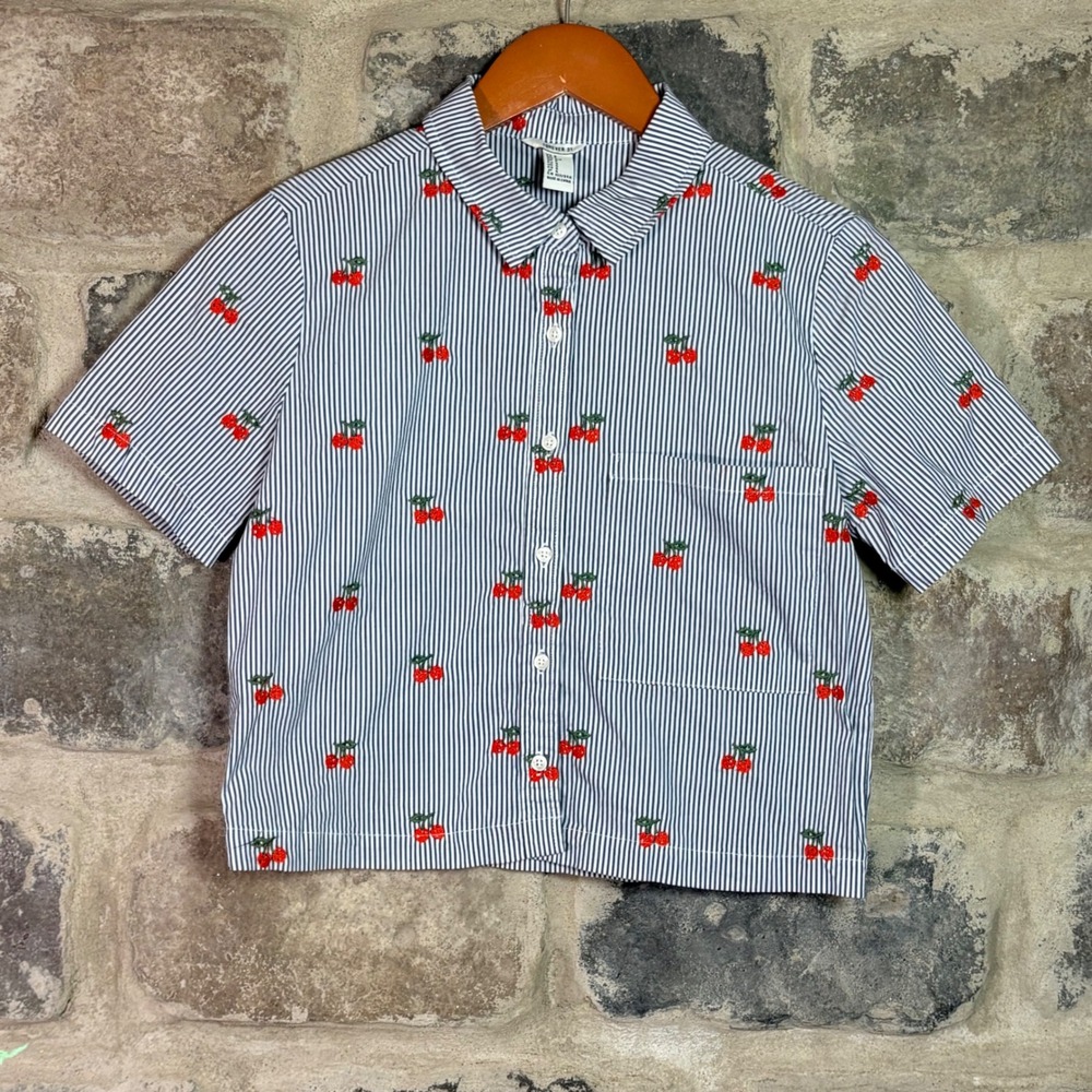 Forever 21 Women's Blue White Pinstripe Embroidered Cherry‎ Button Down Shirt S
